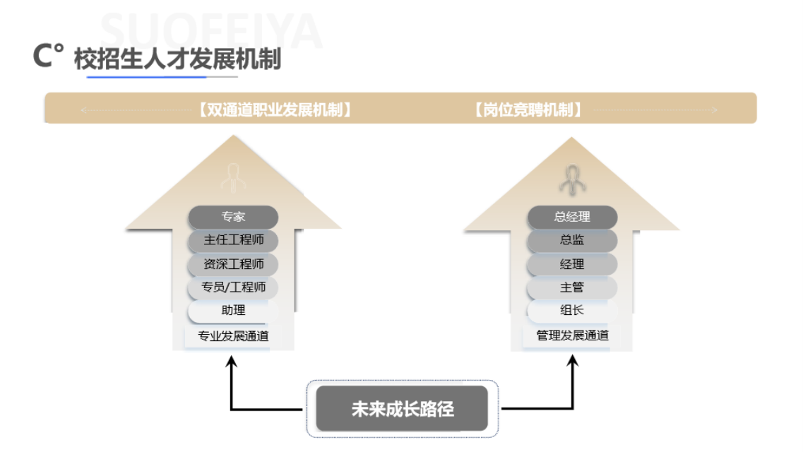 <p>C°校招生人才发展机制</p><p>[双通道职业发展机制)</p><p>[岗位竞聘机制)</p><p>专家<br/>主任工程师<br/>资深工程师<br/>专员/工程师<br/>助理</p><p>专业发展通道</p><p>总经理</p><p>总监</p><p>经理</p><p>主管</p><p>组长</p><p>管理发展通道</p><p>未来成长路径</p>